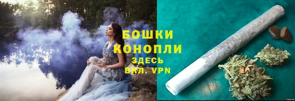 стафф Козловка