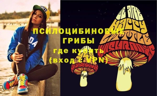 стафф Козловка