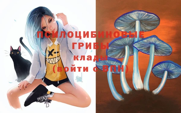 стафф Козловка