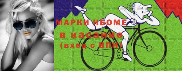 стафф Козловка