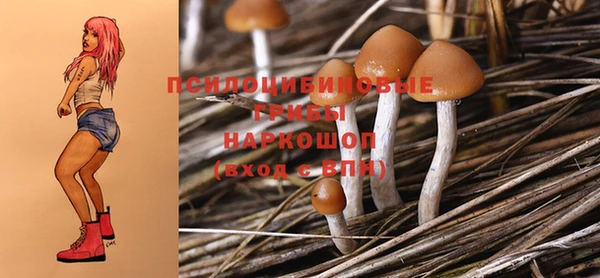 стафф Козловка