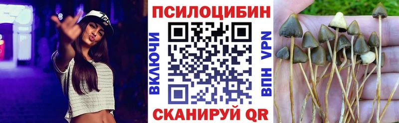Псилоцибиновые грибы прущие грибы  Купить закладки  Межгорье 
